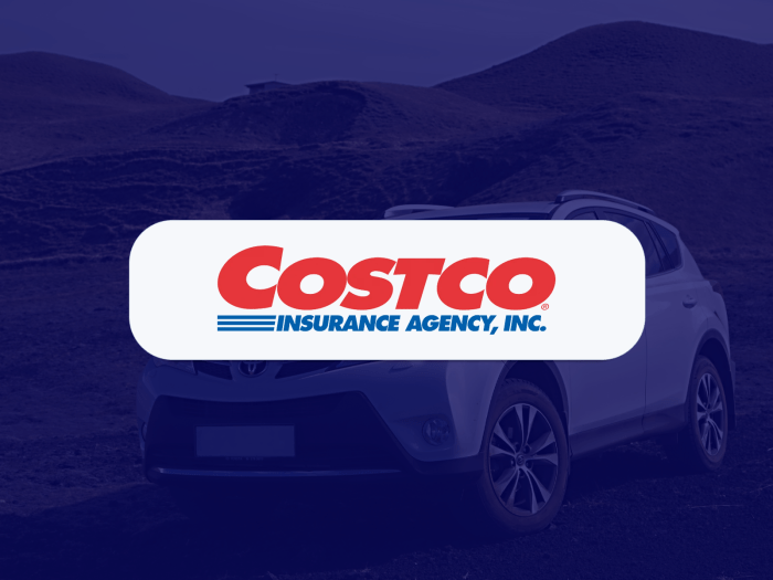 CostCo Home And Auto Insurance Review (2024) - YouTube